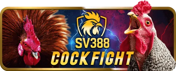 Hình ảnh hỗ trợ khách hàng và câu hỏi thường gặp về cookie của NN888 Link Vào